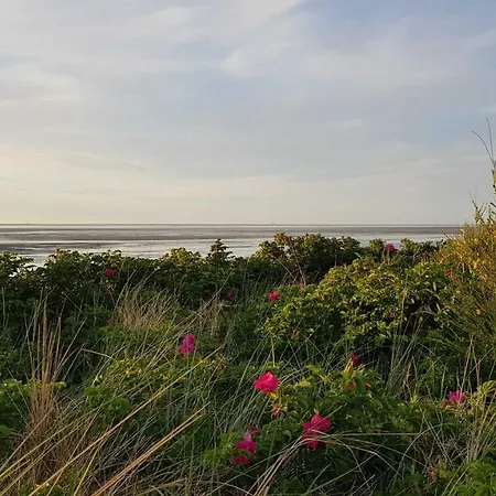 Apartman Residenz Oceanic