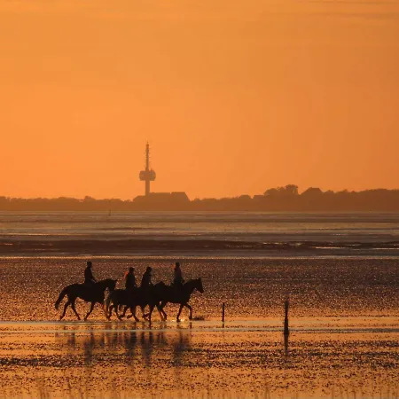 Residenz Oceanic Διαμέρισμα Κουξχάφεν