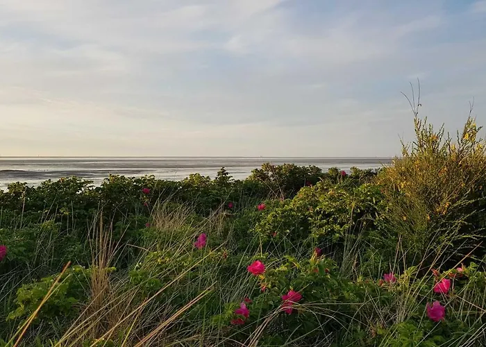 Apartman Residenz Oceanic